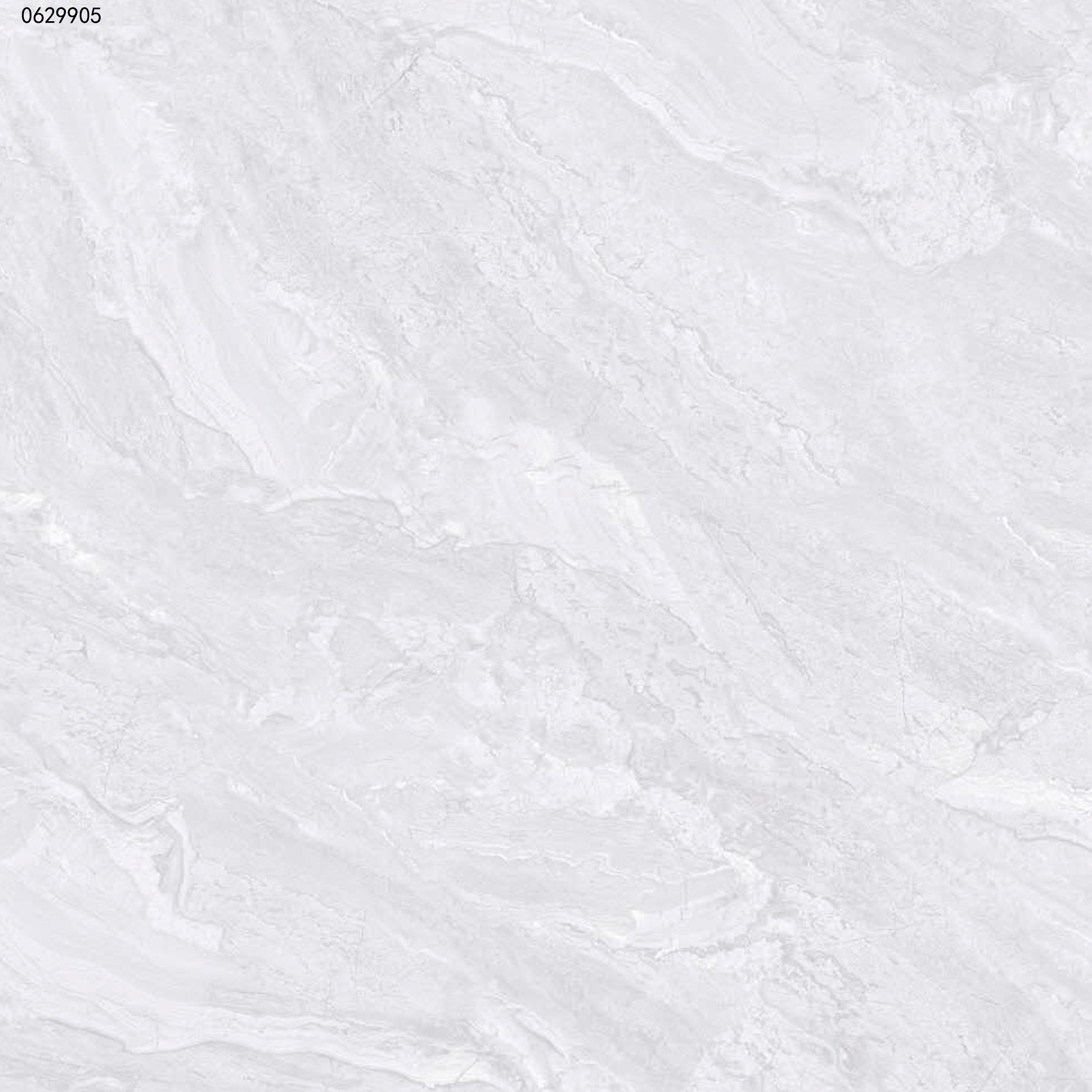 KAY0829905